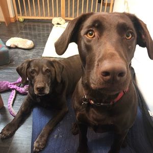 Meet your Posher, Bryanne